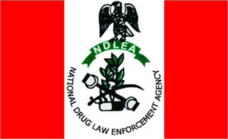 NDLEA Dismantles N6.4bn International Drug Cartel, Arrests Kingpins