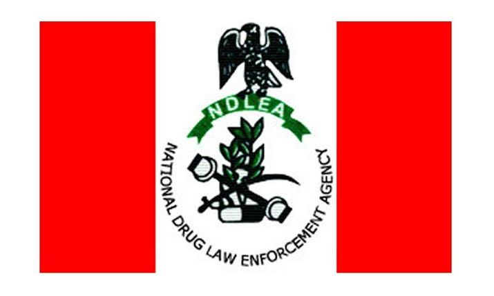NDLEA Nabs Drug Trafficker in Kano – Breaking News