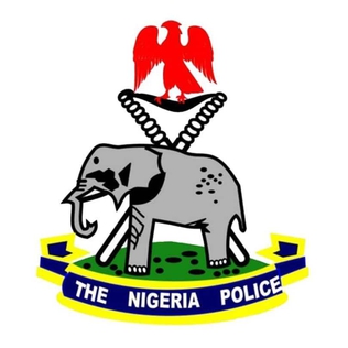 Jigawa Police Arrest 17 Suspects, Seize Illegal Drugs