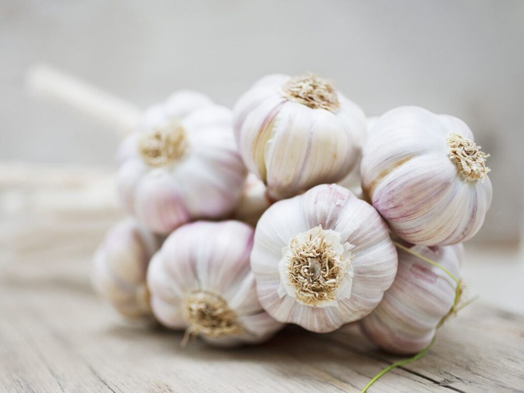 The Power of Garlic in Everyday Cooking