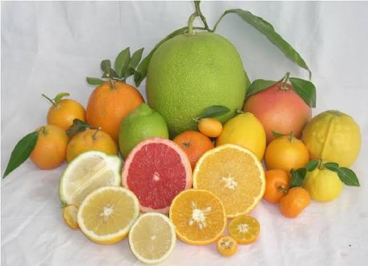 5 Citrus Fruits and Their Powerful Health Benefits