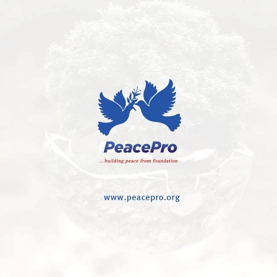 PeacePro Reveals Nigeria Holds Up to $1.5tn in Idle Capital Amid Rising Debt