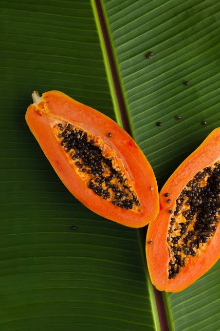 Why Pawpaw Boosts Digestion and Immunity Naturally