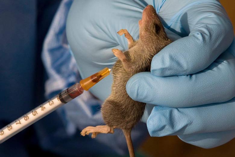Kwara Refutes Lassa Fever Death Rumors at NYSC Orientation Camp