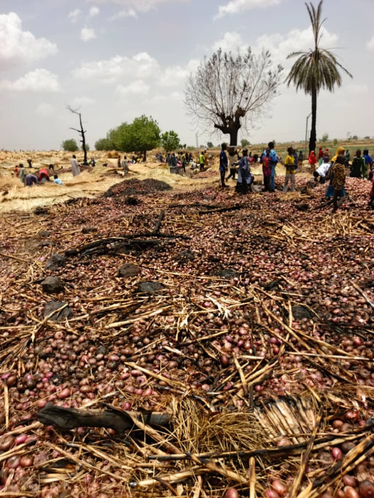 Fire Destroys ₦500m Worth of Onions in Sokoto