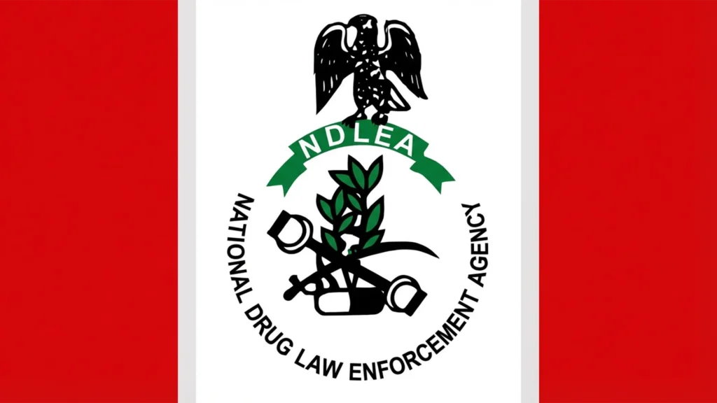 NDLEA Secures N33.6bn Drug Forfeiture Order