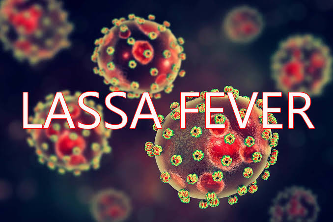 Lassa fever death toll rises to 214