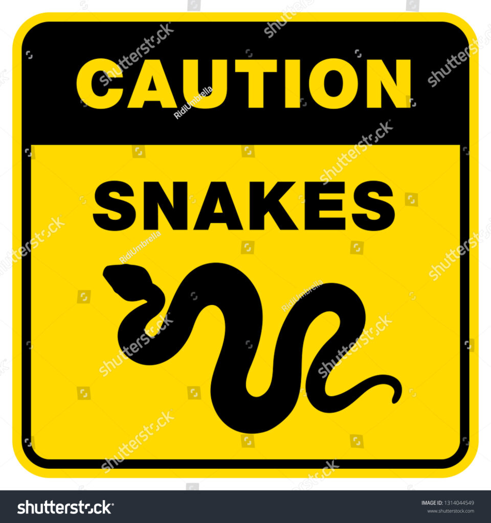 Church Cleans Up Overgrown Abia Hospital Compound After Snake Threat