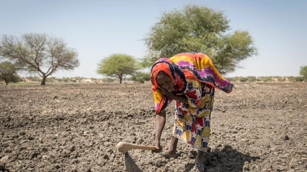 Insecurity Threatens Nigeria’s Food Security as Farmers Abandon Farms