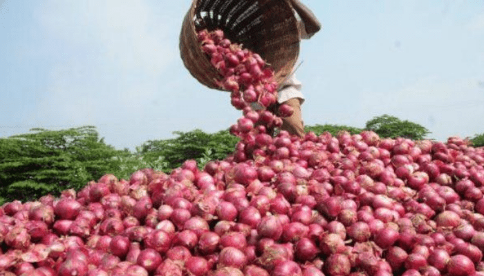 Nigeria Lifts Suspension on Onion Exports to Ghana