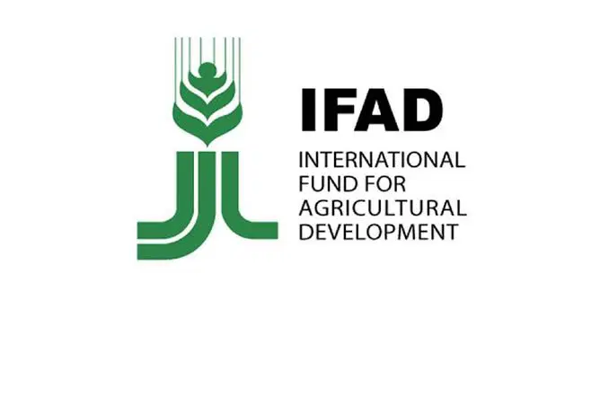 FG Endorses IFAD-Supported Programme for Rural Transformation